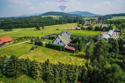 Działka budowlana na sprzedaż Grodziec 1 103m2 Foto 10