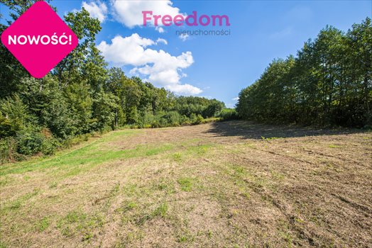 Działka budowlana na sprzedaż Rzeszów, Jana Wąsacza 36m2 Foto 3