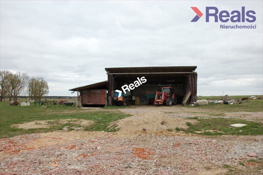 Dom na sprzedaż Drzonowo Wałeckie 106m2 Foto 6