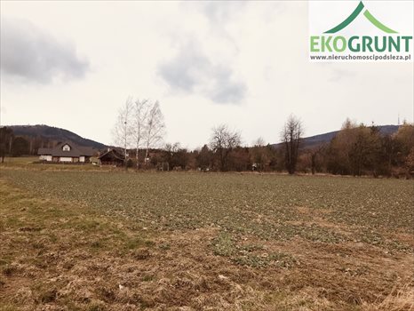 Działka budowlana na sprzedaż Sulistrowice, Nowa 1 280m2 Foto 1