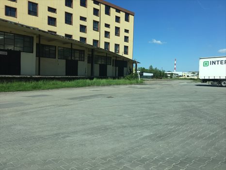Lokal użytkowy na wynajem Olkusz, al. 1000-lecia 9 000m2 Foto 3