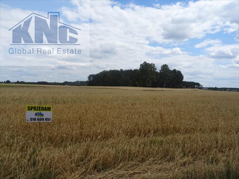 Działka budowlana na sprzedaż Lubiaszów 1 500m2 Foto 1