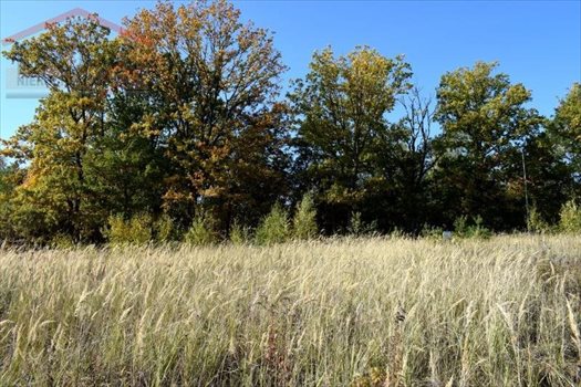 Działka inna na sprzedaż Drawsko Pomorskie, Jezioro, Las, Park, Rzeka, Tereny rekreacyjne, Okrzei 1 971m2 Foto 11