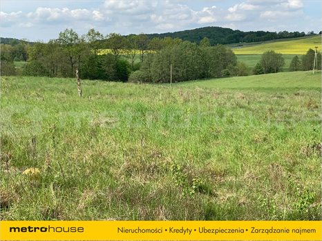 Działka inna na sprzedaż Trzepowo, Przywidz 2 280m2 Foto 3