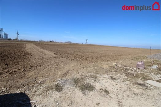 Działka inna na sprzedaż Lulkowo, Łysomice 3 000m2 Foto 5