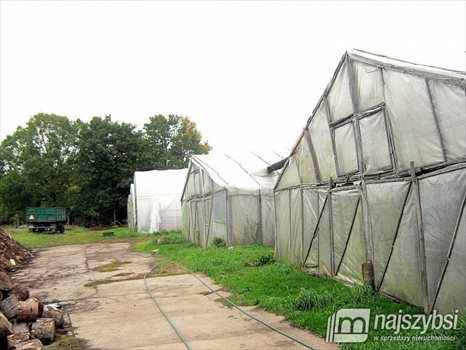 Dom na sprzedaż Płoty, obrzeża Płot 290m2 Foto 13