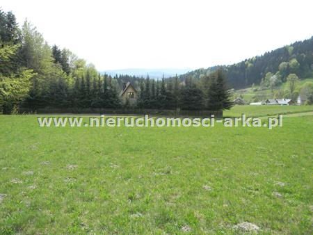 Działka budowlana na sprzedaż Pisarzowa 2 100m2 Foto 1