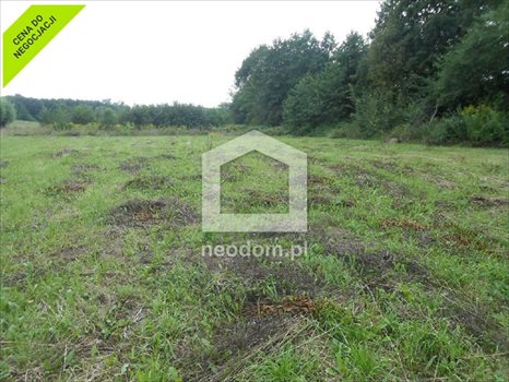 Działka budowlana na sprzedaż Trąbki 1 200m2 Foto 3