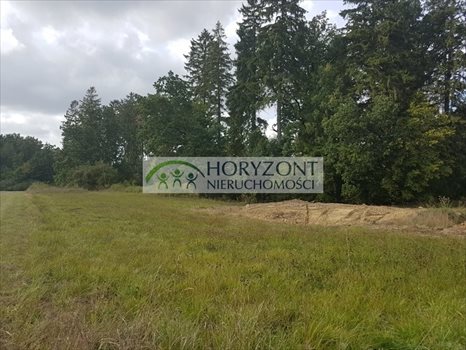 Działka inna na sprzedaż Leźno 3 327m2 Foto 3