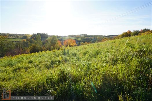 Działka budowlana na sprzedaż Wierzchowie 1 200m2 Foto 3