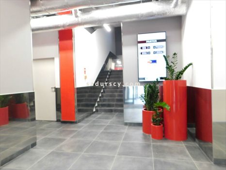 Lokal użytkowy na wynajem Piaseczno 720m2 Foto 2