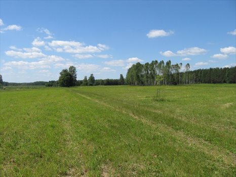 Działka rolna na sprzedaż Warkały 16 606m2 Foto 3