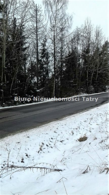 Działka budowlana na sprzedaż Nowa Biała 648m2 Foto 5