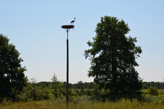 Dom na sprzedaż Kąty-Wielgi 120m2 Foto 8