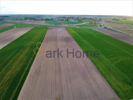 Działka inwestycyjna na sprzedaż Leszno 3 000m2 Foto 8