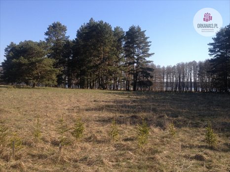 Działka rekreacyjna na sprzedaż Ząbie, Ząbie 2 981m2 Foto 2