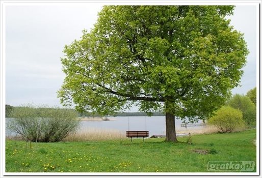 Kawalerka na sprzedaż Żywy, Nad Jeziorem 35m2 Foto 8