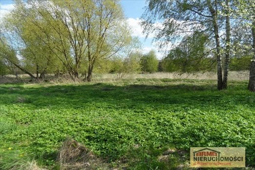 Lokal użytkowy na wynajem Stargard, Starówka, Brzozowa 288m2 Foto 6