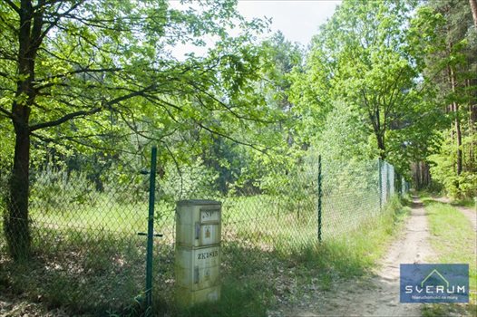 Działka rekreacyjna na sprzedaż Borowa 1 982m2 Foto 4