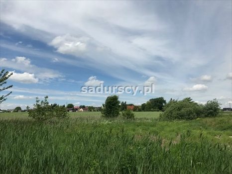 Działka inna na sprzedaż Januszowice 7 200m2 Foto 7