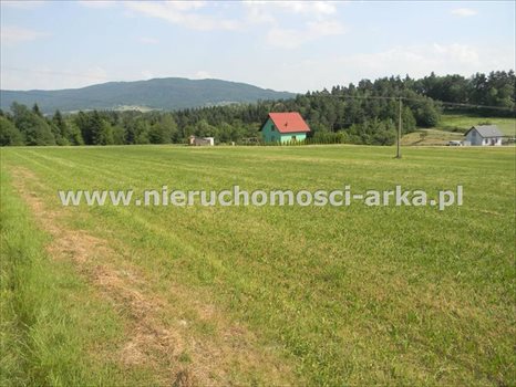 Działka rolna na sprzedaż Stare Rybie 10 800m2 Foto 4