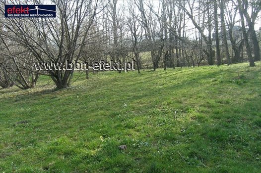 Działka inna na sprzedaż Bielsko-Biała, Kamienica 2 761m2 Foto 6