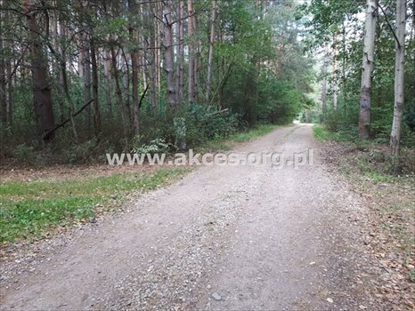Działka budowlana na sprzedaż Prace Duże 3 000m2 Foto 10