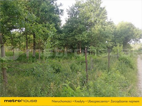 Działka inna na sprzedaż Dąbrówka Wielka, Zgierz 2 669m2 Foto 3