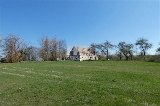 Działka inna na sprzedaż Działoszyn 2 100m2 Foto 2