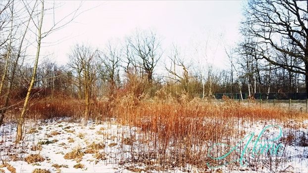 Działka inna na sprzedaż Zabrze, Śródmieście 5 635m2 Foto 8