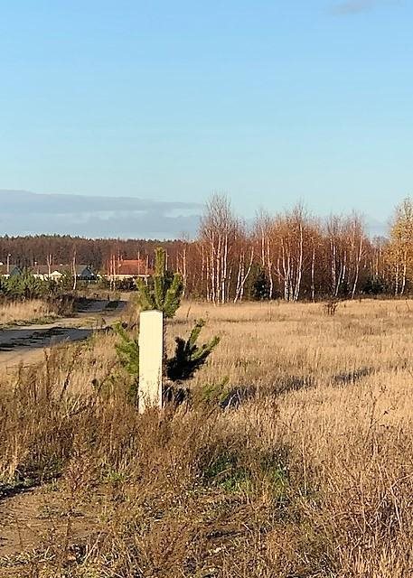Działka inna na sprzedaż Wierzyce 1 600m2 Foto 2