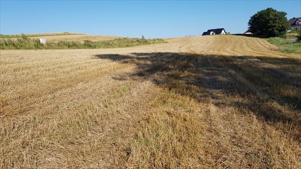 Działka budowlana na sprzedaż Smołdzino, Smołdzino, Kartuska 1 085m2 Foto 11