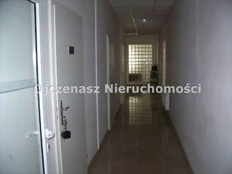 Działka inna na sprzedaż Brzoza 4 780m2 Foto 9