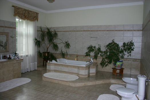 Luksusowy dom na sprzedaż Kamień 746m2 Foto 8