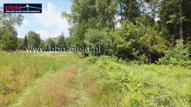 Działka budowlana na sprzedaż Buczkowice 3 900m2 Foto 2