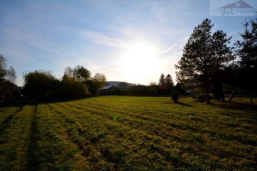 Działka budowlana na sprzedaż Ostrów 2 565m2 Foto 6