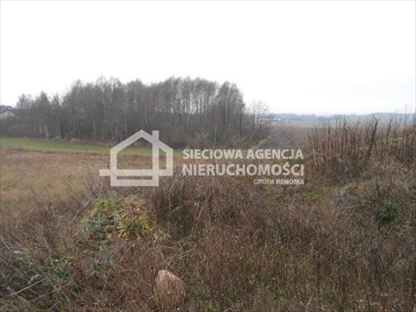 Działka budowlana na sprzedaż Małkowo 1 976m2 Foto 6