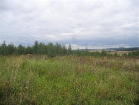 Działka inna na sprzedaż Jagatowo, JAGATOWO 20 000m2 Foto 2