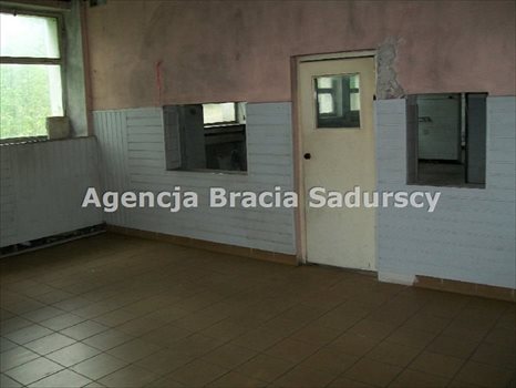 Lokal użytkowy na wynajem Nowy Targ 2 300m2 Foto 12