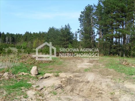 Działka budowlana na sprzedaż Sitno 3 053m2 Foto 4