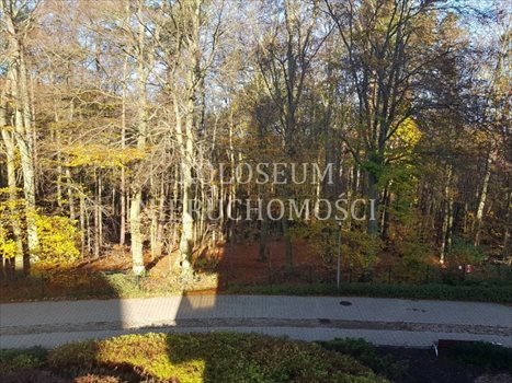 Mieszkanie trzypokojowe na sprzedaż Gdynia, Mały Kack 75m2 Foto 5