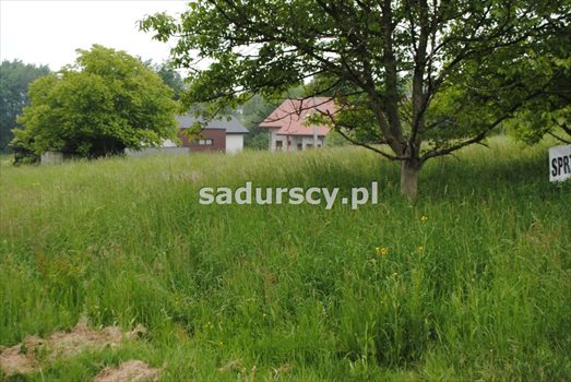 Działka budowlana na sprzedaż Gaj 1 800m2 Foto 4