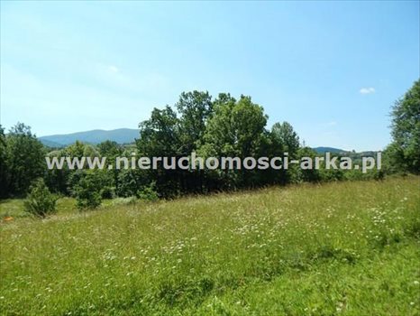 Działka budowlana na sprzedaż Skrzydlna 2 600m2 Foto 3