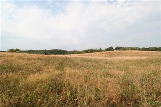 Działka budowlana na sprzedaż Nowa Wieś Przywidzka, Piastowska 1 199m2 Foto 5