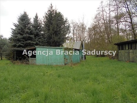 Działka rolna na sprzedaż Januszowice 2 800m2 Foto 5