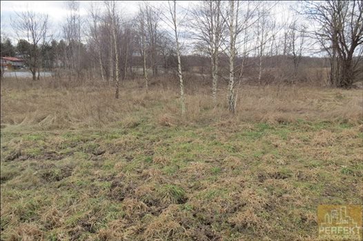 Działka inna na sprzedaż Kabikiejmy Dolne, Wieś, Kabikiejmy Dolne 5 000m2 Foto 5