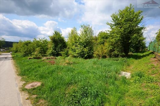 Działka budowlana na sprzedaż Ostrów 3 800m2 Foto 4