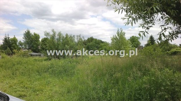 Działka budowlana na sprzedaż Łoś 1 390m2 Foto 12