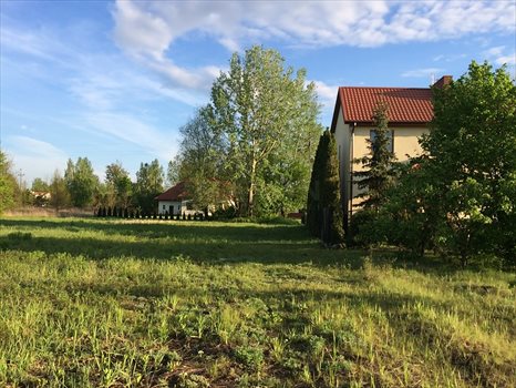 Działka budowlana na sprzedaż Klaudyn 1 196m2 Foto 4