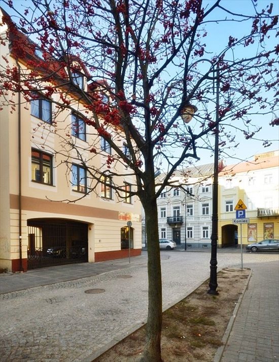 Lokal użytkowy na wynajem Płock, Stare Miasto, Bielska 5 131m2 Foto 2